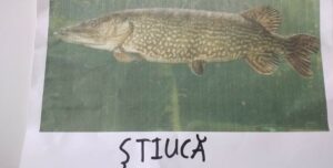 8b4c5f26-941d-4e8e-ae12-2b6b92a741e0