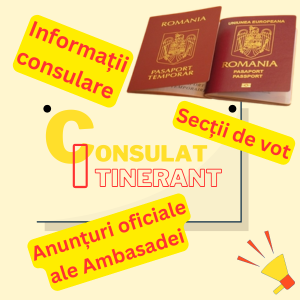 Informații consulare