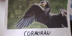 e848f3f9-b872-4274-99b0-98e2d091c1ad